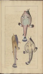 Dibujos de Lindsay Vol. VII, 27