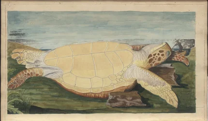 Dibujos de Lindsay Vol. VII, 31