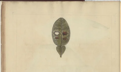 Dibujos de Lindsay Vol. VII, 3