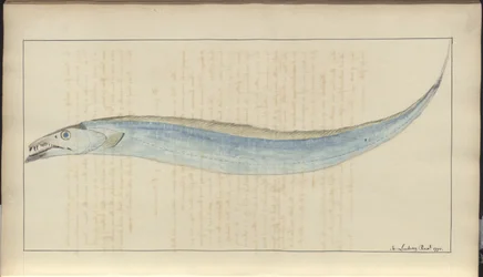 Dibujos de Lindsay Vol. VII, 9