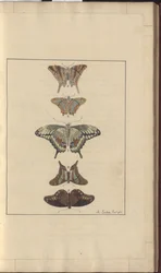 Dibujos de Lindsay Vol. VI, 32