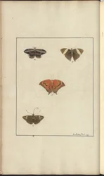 Dibujos de Lindsay Vol. VI, 41