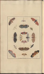 Dibujos de Lindsay Vol. VI, 63