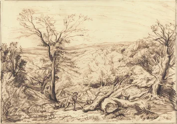 Leñadores en un bosque