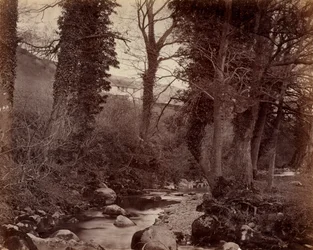 Sin Título, c. 1859