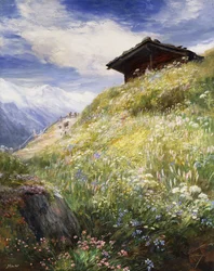 Un prado alpino, Suiza