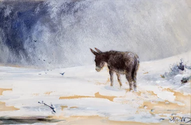 Burro en la nieve