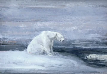Osos polares observando focas en un agujero de hielo, c1867-1910