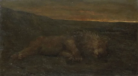 León dormido de noche
