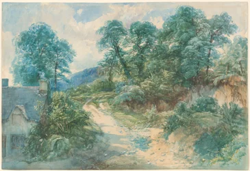 Un Camino Rural