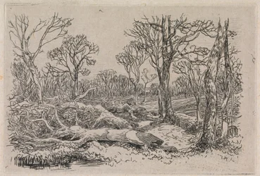 Madera talada, Burningham