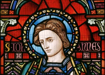 Crick, Ventana Este, (detalle), Lavers & Barraud, John Millner Allen (1827-1902), San Juan, 1863