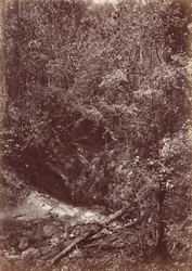 Expedición Darién, 1871 (foto)