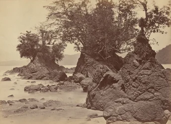 Islas, Bahía Limón,1871 (foto)