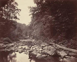 El Arroyo Wissahickon cerca de Filadelfia