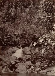 Paisaje Tropical, Cascada, Río Limón