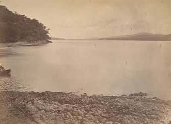 Paisaje tropical, Puerto de Darién - Mirando al sur, 1871