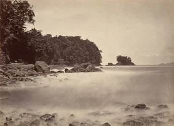 Paisaje tropical, vista de la bahía de Limón, 1871
