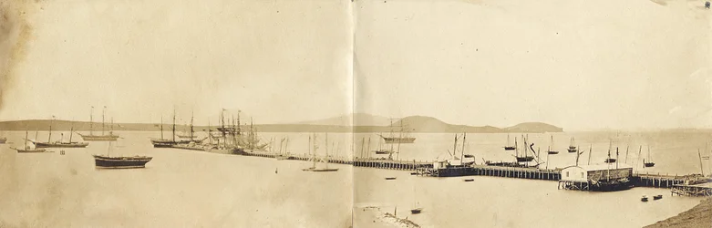 Puerto de Auckland, 1865