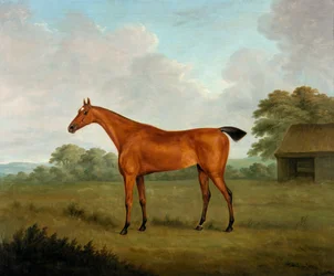 Caballo castaño en un paisaje, 1815