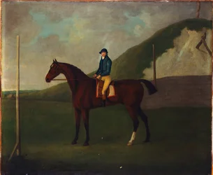 "Creeper", un potro bayo con jinete en el punto de partida en el Running Gap en el Devils Ditch, Newmarket