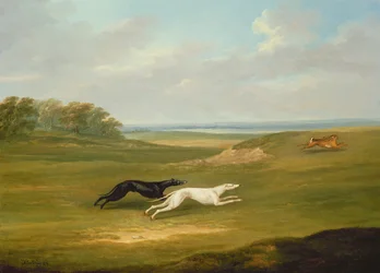Corriendo, una escena de caza