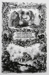 Paul y Virginia, c.1860-1870 (grabado)