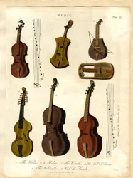 Instrumentos de cuerda de la música clásica