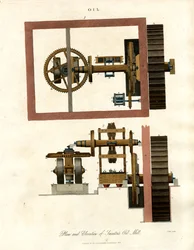 Almazara Swedin