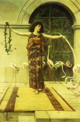Danza de los flamencos, 1885