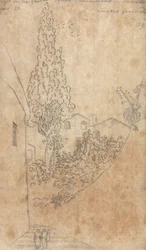 Ciprés en el jardín de los franciscanos de Salerno