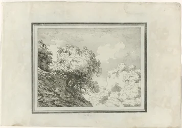 Roble