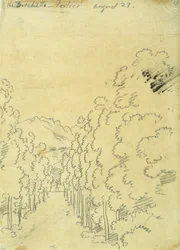 Bosque, de un álbum de trazados