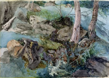 Estudio de rocas y helechos en un bosque en Crossmount, Perthshire, 1843