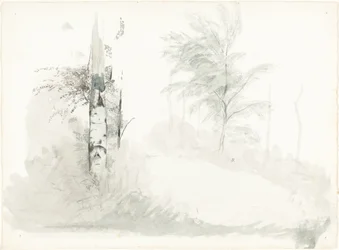 Estudio de Árbol