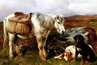 Poni de las tierras altas con perros