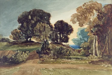Un parque arbolado