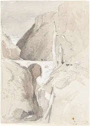 Garganta con tocones de árboles
