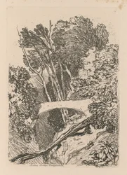 Liber Studiorum: Lámina 11: Puente de Parsons, Cardingshire, 1838