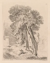 Liber Studiorum: lámina 18, árboles en Norwich Thorp, Norfolk