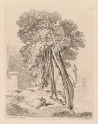 Liber Studiorum: Lámina 18, Árboles en Norwich Thorp, Norfolk, 1838