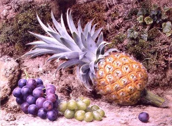 Una piña y racimos de uvas en un banco musgoso