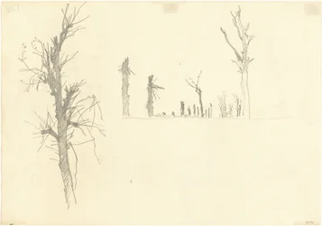 Árboles devastados (verso)
