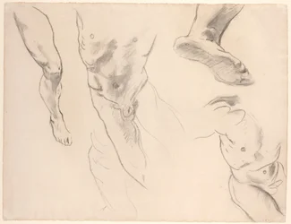 Estudios de figura de un joven desnudo