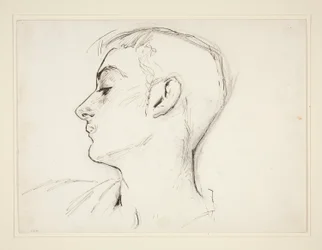 Cabeza de un joven de perfil