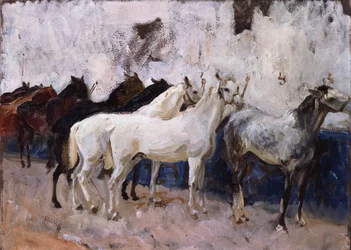 Caballos en Palma, Mallorca, España, 1908