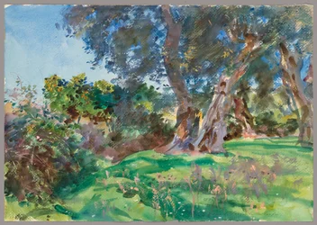 Olivos, Corfú