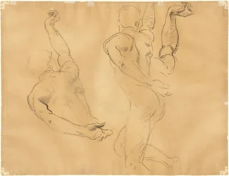 Estudios de Desnudos Masculinos (verso)