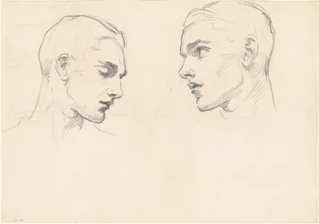 Estudios de la cabeza de un hombre