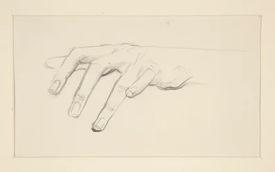 estudio de una mano